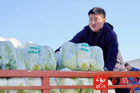 沂蒙人就是好·山东好人丨山东沂蒙山玻璃集团有限公司总经理刘永刚冒严寒为甘肃地震灾区筹集10万斤大白菜
